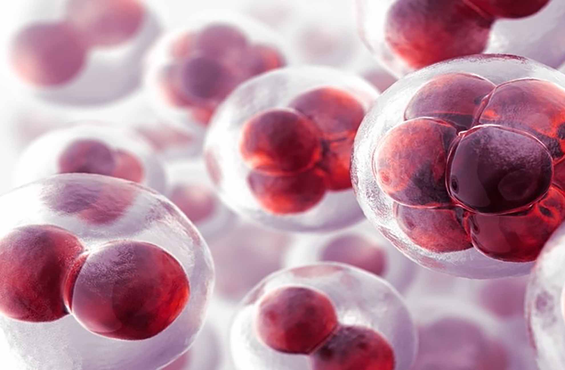 Atlas Antibodies products supplied by BioConnect