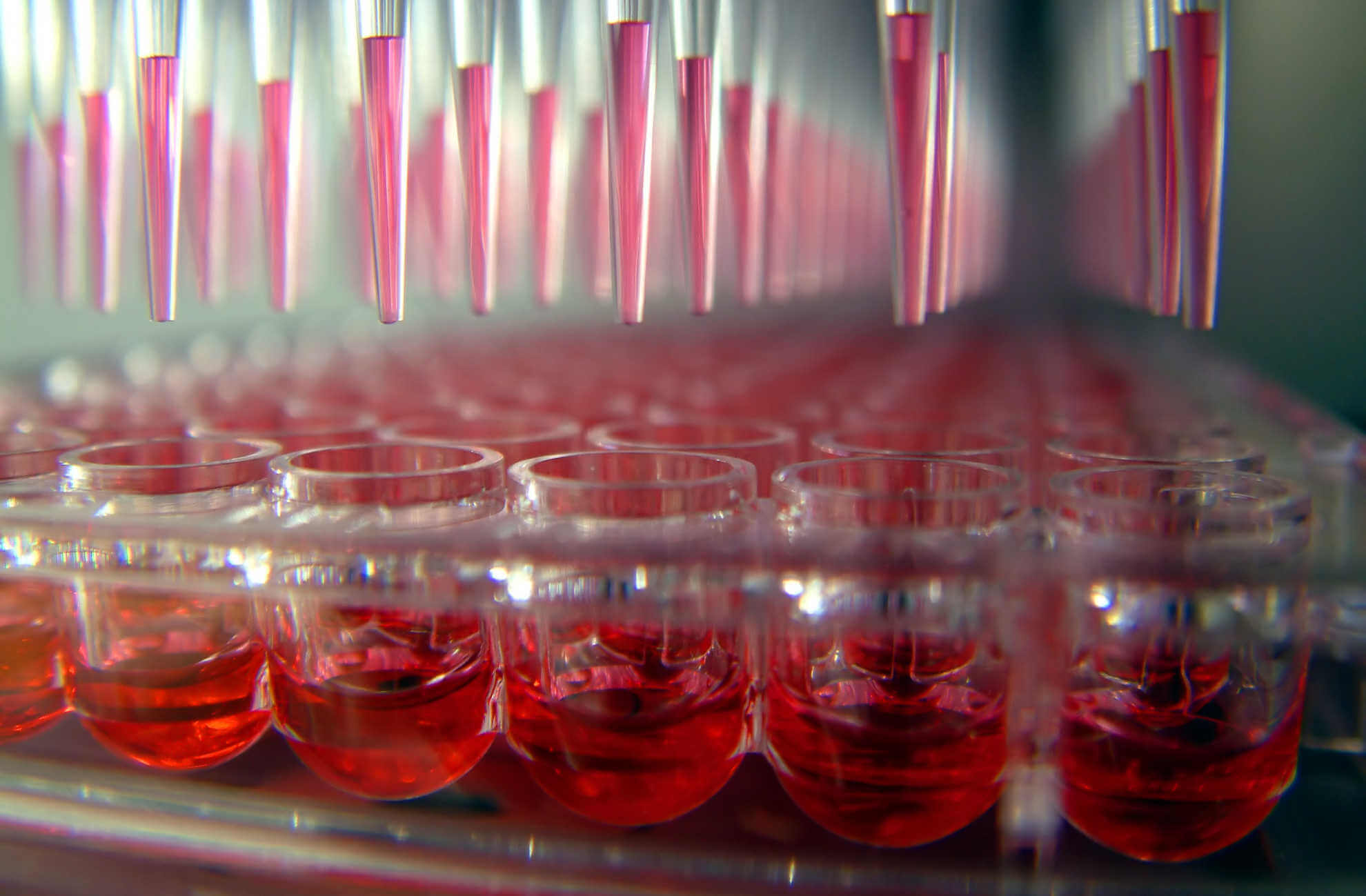 Compound screening libraries from MedChem Express