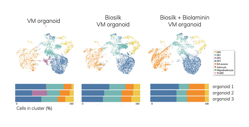 Biosilk reproducibility Fiorenzano