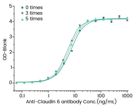 Anti-Claudin 6 antibody Conc. (ng/mL)