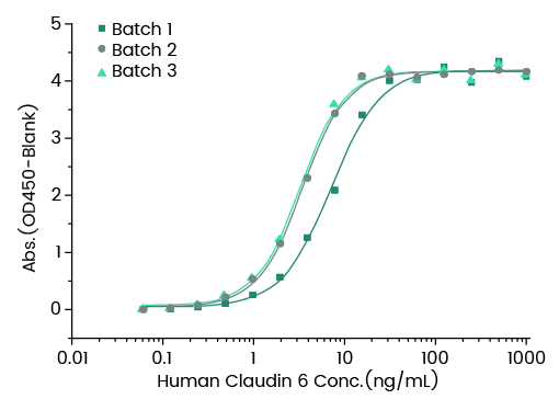 Anti-Claudin 6 antibody Conc. (ng/mL)