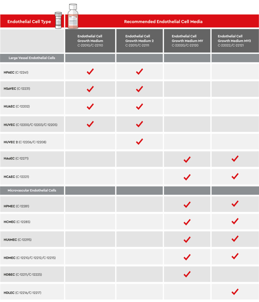 Recommended Media for Endothelial Cells