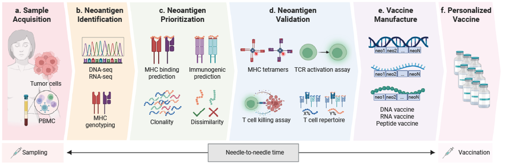 Personalized mRNA vaccine for melanoma cut risk of cancer’s return in late-stage trial
