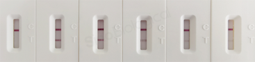 Sino - Subtype Zaire