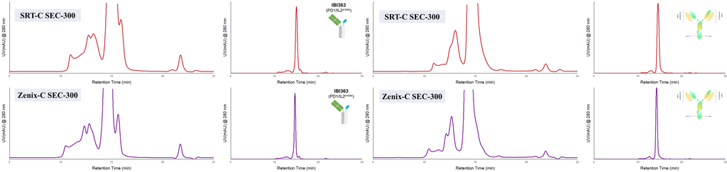 Aggregation analysis of two BsAbs on Sepax SRT-C 300 Å and Zenix-C 300 Å columns