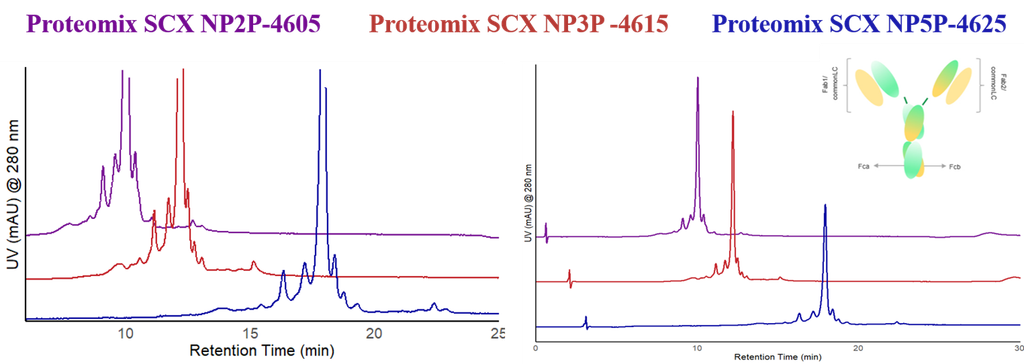 Charge-variant analysis on Sepax Proteomix SCX columns across varying particle sizes and column dimensions. 